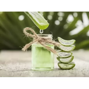 Legătura dintre aloe vera și menținerea sănătății inimii. De ce să consumi această plantă