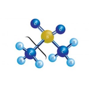 MSM (Metylsulfonylmetan)
