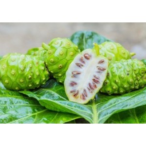 Noni