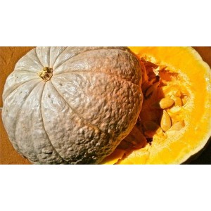 Pulbere din semințe de dovleac (Cucurbita pepo)