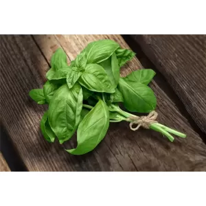 Remedii naturiste pentru indigestie. Cum poate busuiocul să contribuie la îmbunătățirea digestiei