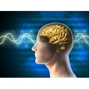 Remedii naturiste pentru menținerea sănătății creierului! Aceste ingrediente fac minuni pentru activitatea cerebrală