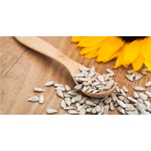Semințele de floarea-soarelui, o comoară pentru sănătate - beneficii pe care nu știai că le au