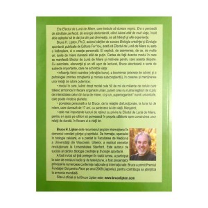 Efectul de Luna de Miere